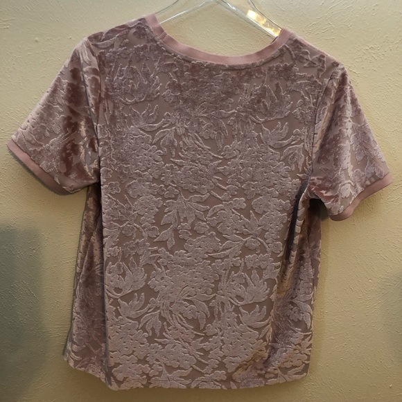 Blush Burn Out Velvet in Size Medium - Picture 3 of 4